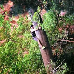 Meet your Posher, Will